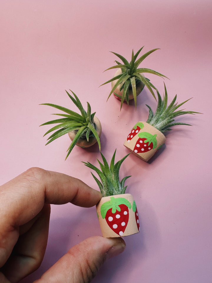 Berry Cute Mini Planter