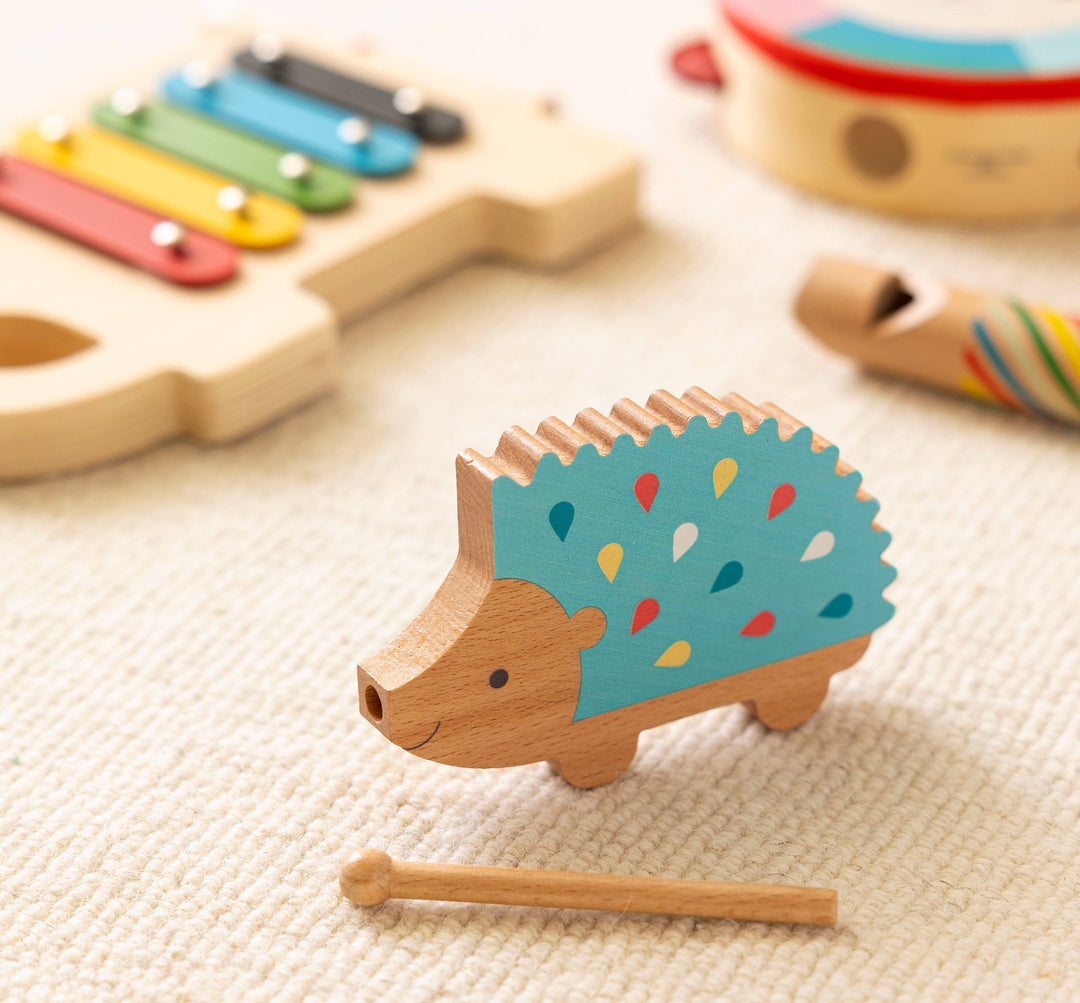 Happy Hedgehog Percussion Instrument