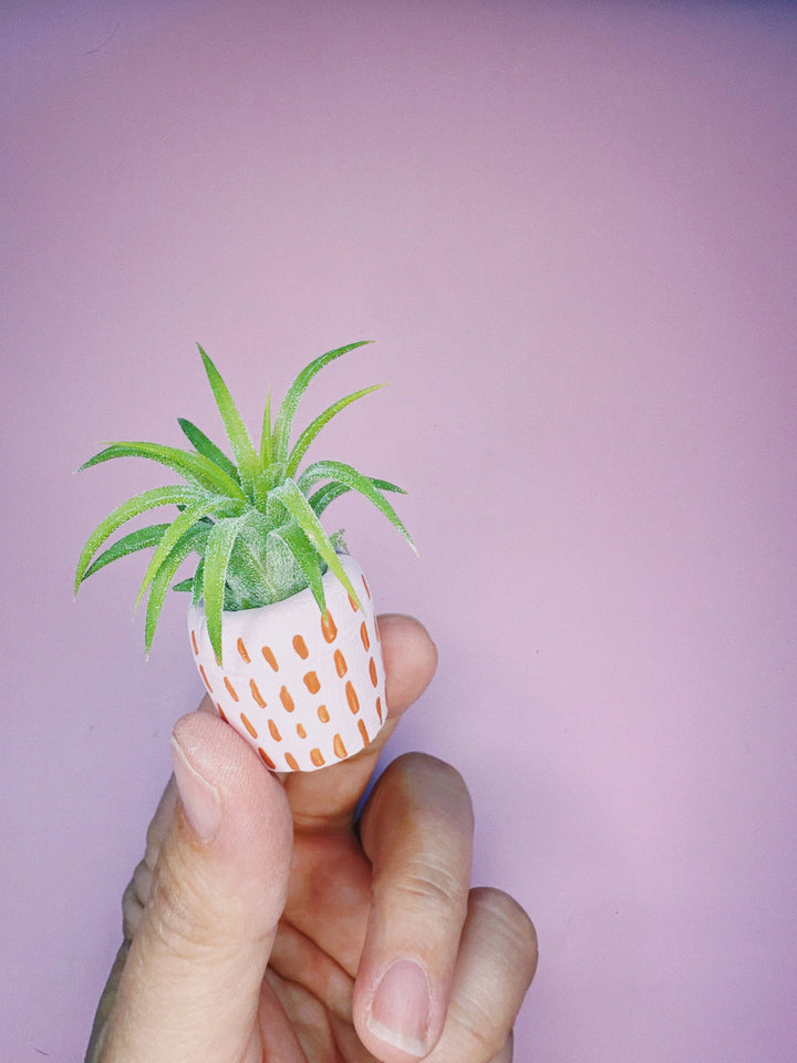 The Minimal Mini Planter