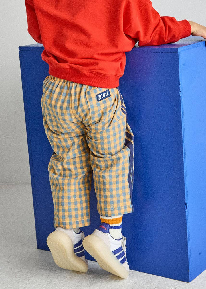Gingham Stripe Pant - Blue &amp; Orange