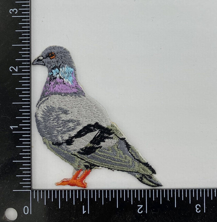 Rock Dove Pigeon, Birds, Iron on Patch IR