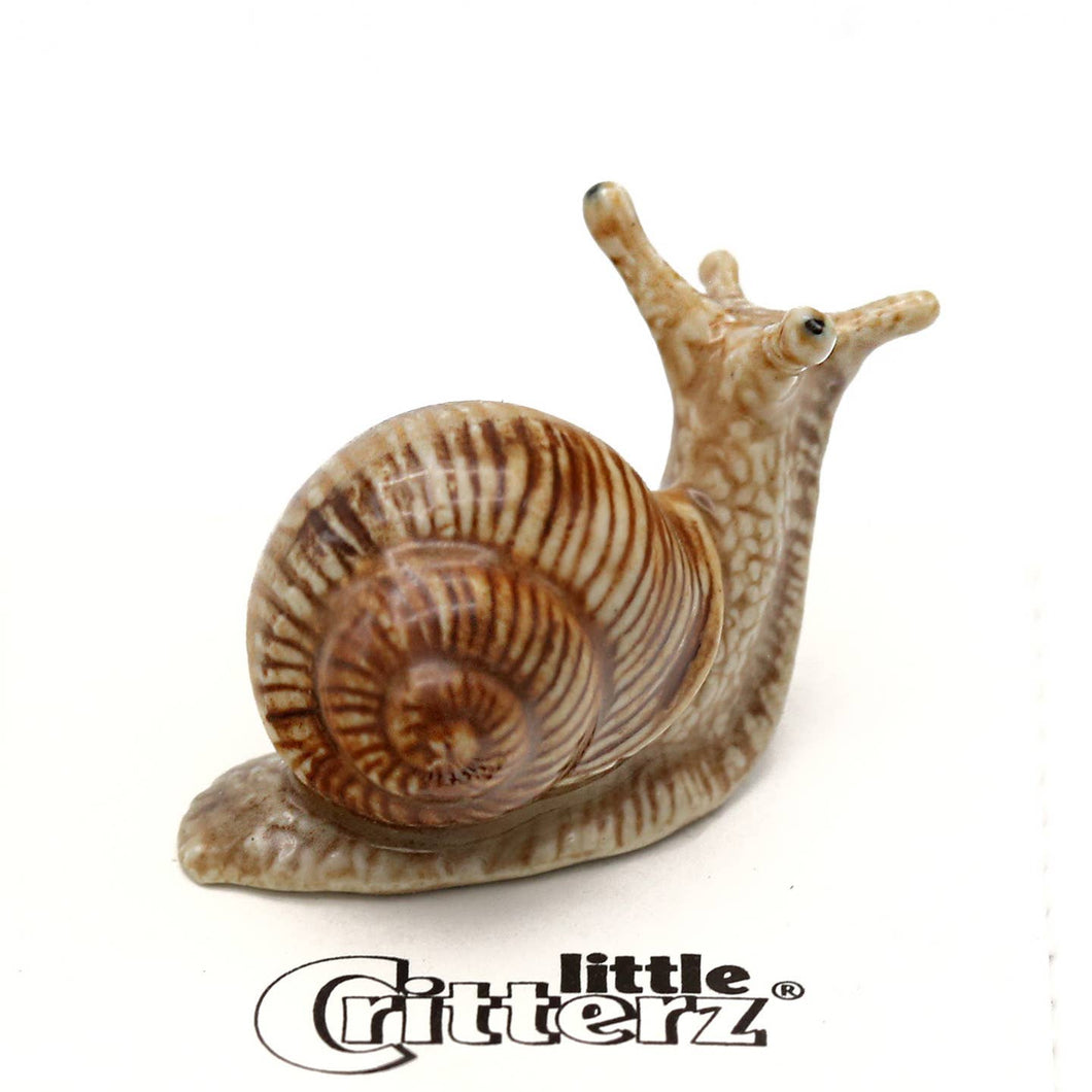 Helix Garden Snail Porcelain Decorative Figurine Miniature sa10