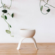 Load image into Gallery viewer, High Rise, Shallow Planters CR22