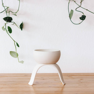 High Rise, Shallow Planters CR22