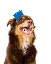 Load image into Gallery viewer, Pawty Crown - Blue