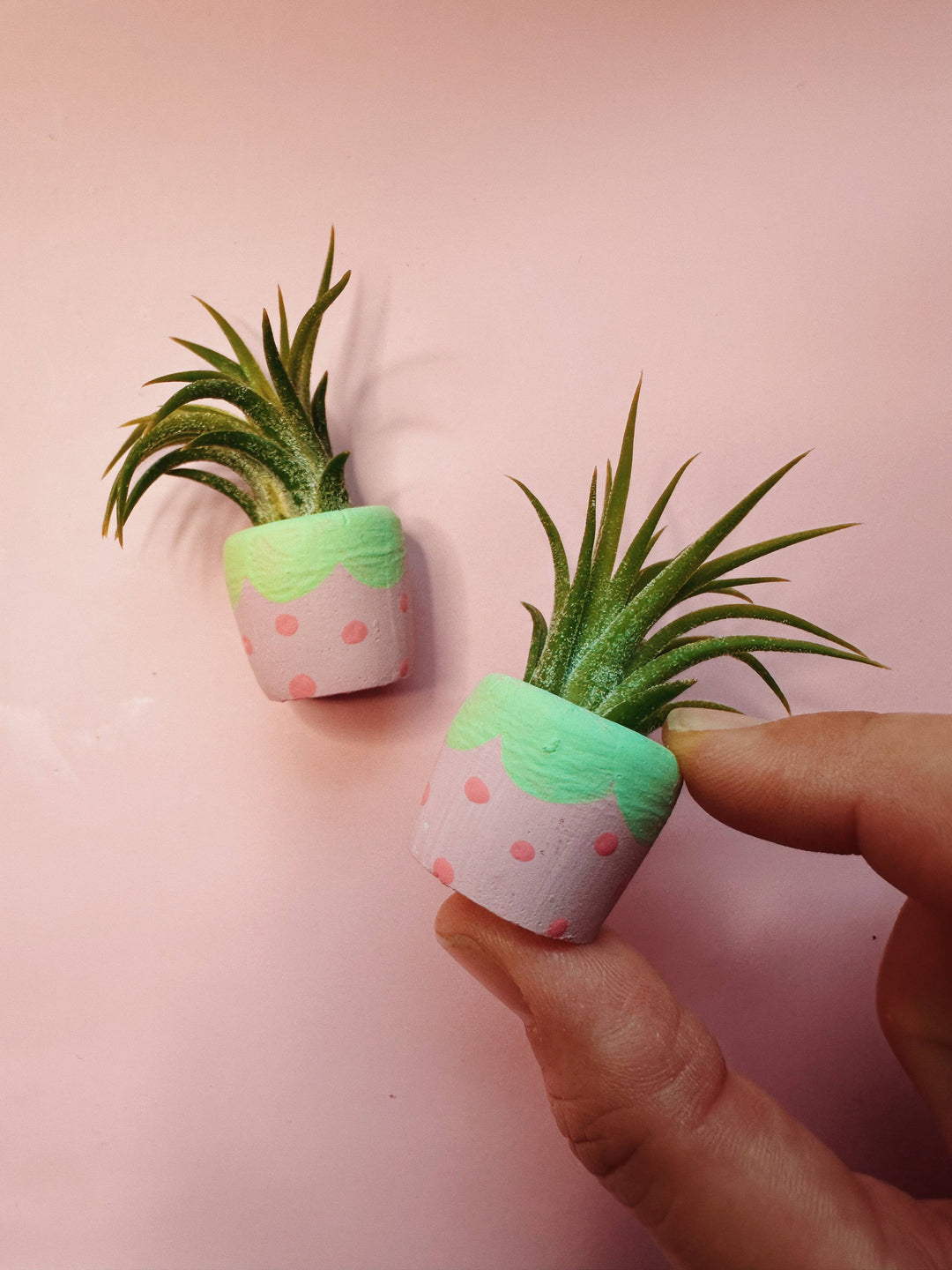 Strawberry Mini Pot and Plant