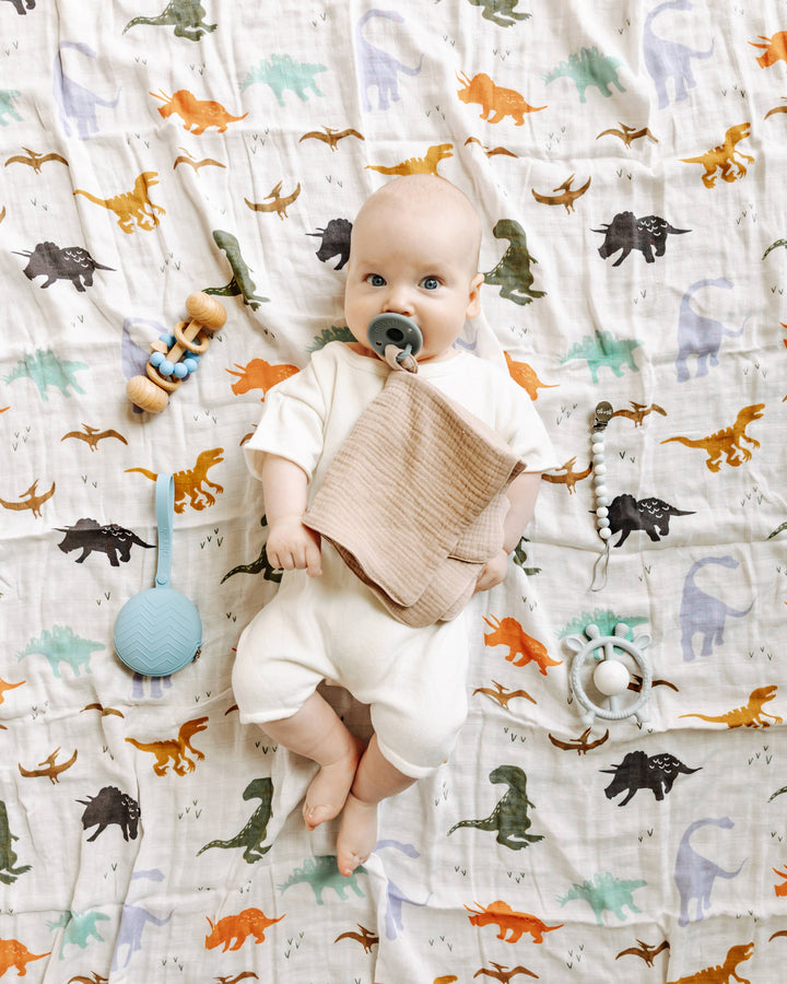 Muslin Swaddle Blanket (Dinosaurs) AL24