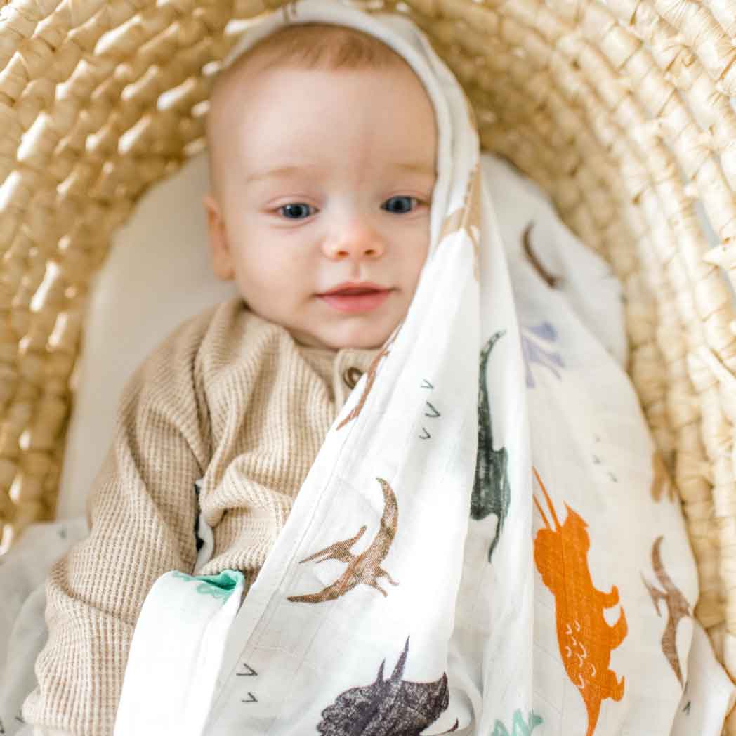 Bamboo Muslin Swaddle - Dinosaurs