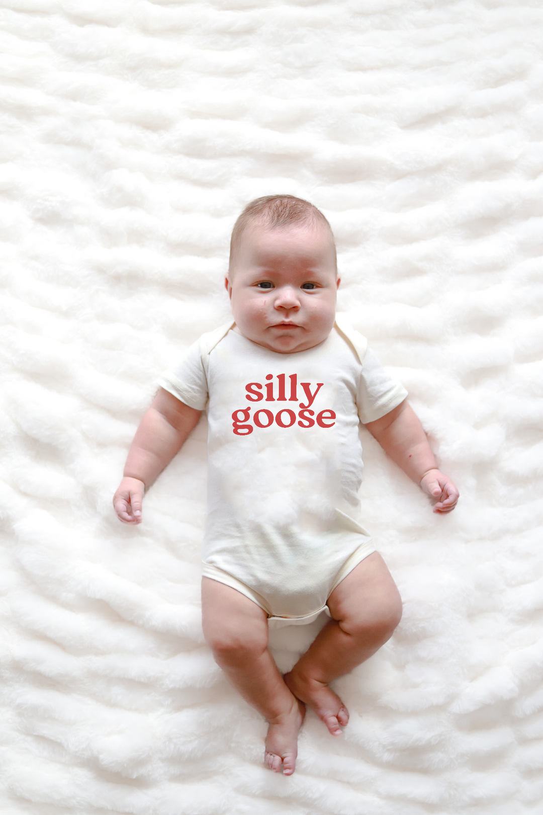Silly Goose Baby Onesie, baby clothes, baby boy, baby girl PP963