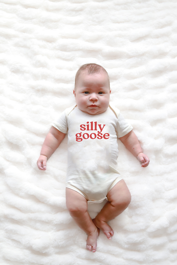 Silly Goose Baby Onesie, baby clothes, baby boy, baby girl PP963