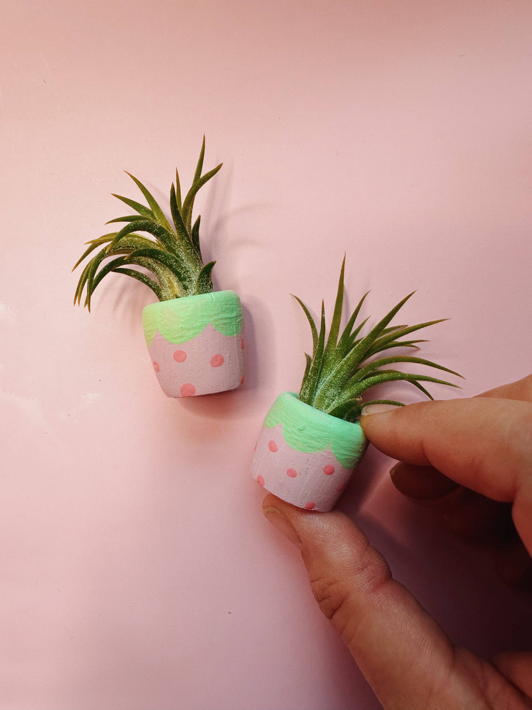 Strawberry Mini Pot and Plant