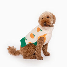 Load image into Gallery viewer, Orange Sweater