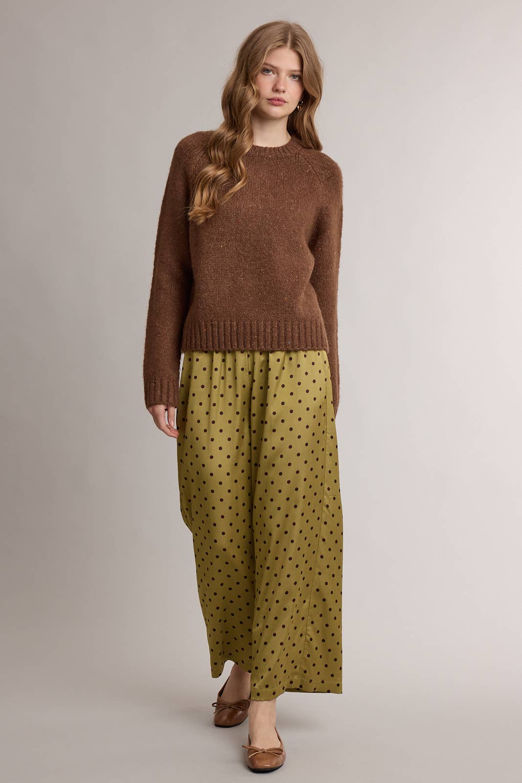 SPECKLED SOFT KNIT CREWNECK SWEATER / WL26