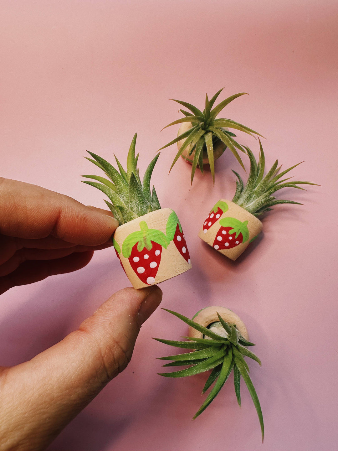 Berry Cute Mini Planter