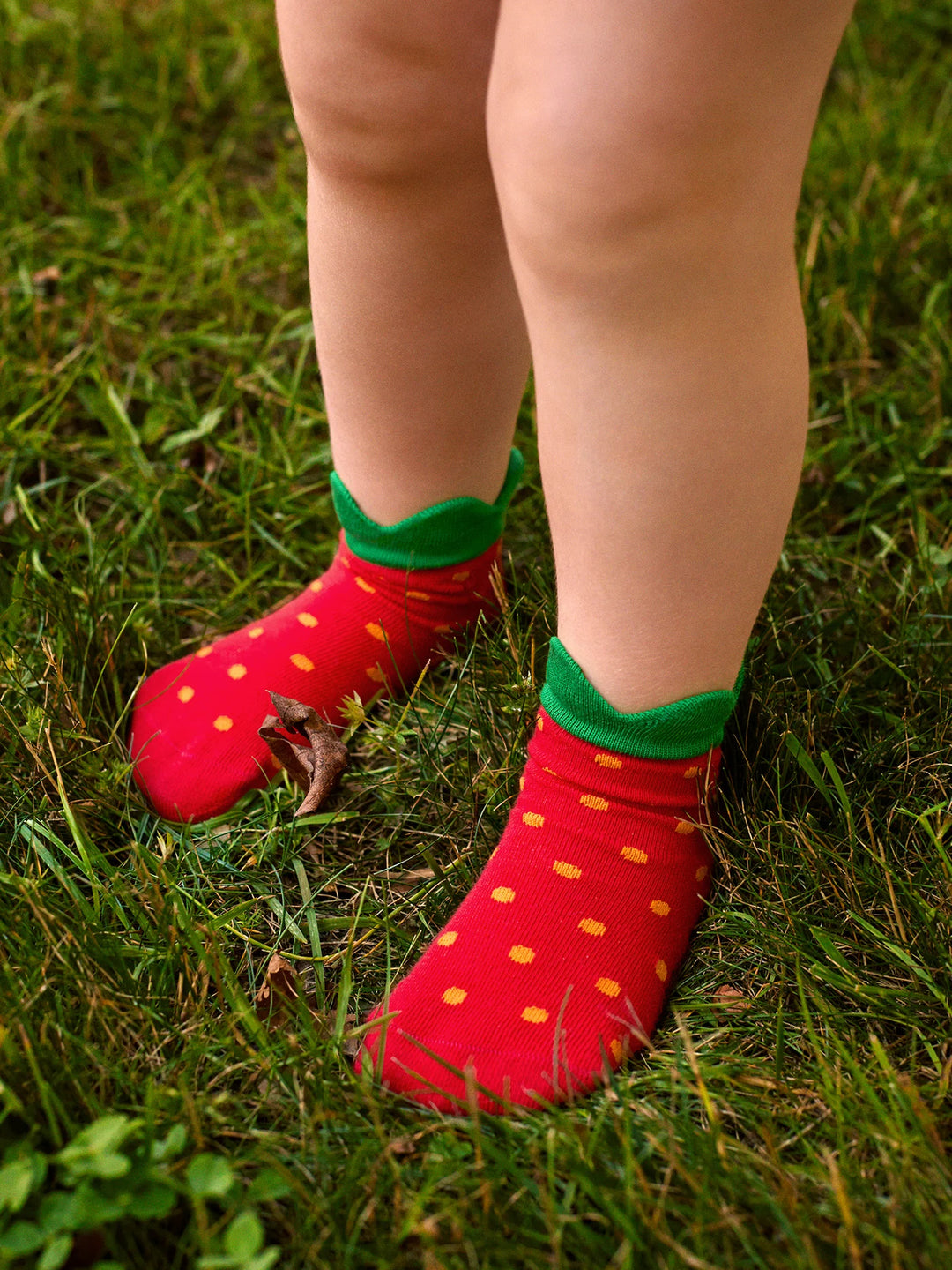 Mini Strawberry Crew HFB17