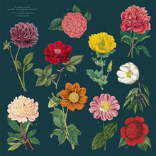 Load image into Gallery viewer, Botany Vintage Napkins (set of 4)