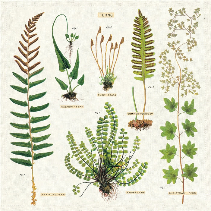 Botany Vintage Napkins (set of 4)