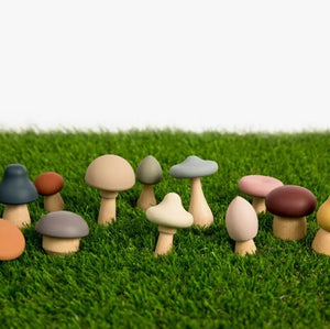 Wood + Silicone Mushroom Sorting Set