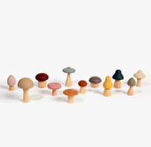 Load image into Gallery viewer, Wood + Silicone Mushroom Sorting Set